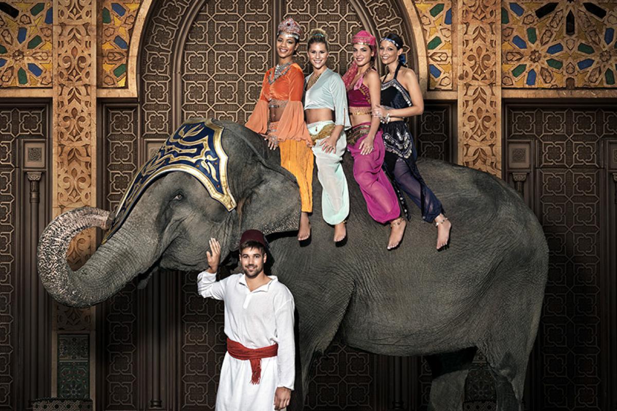 015-Anita Buri Werbung mit Elefant